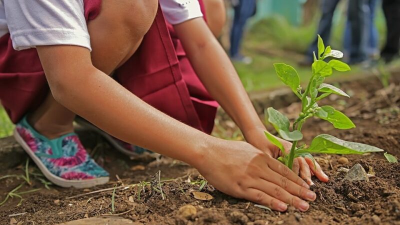 Comment maximiser l&rsquo;espace de votre jardin &nbsp;?