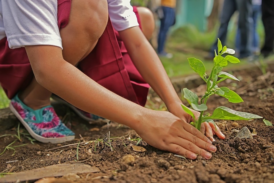 Comment maximiser l&rsquo;espace de votre jardin &nbsp;?