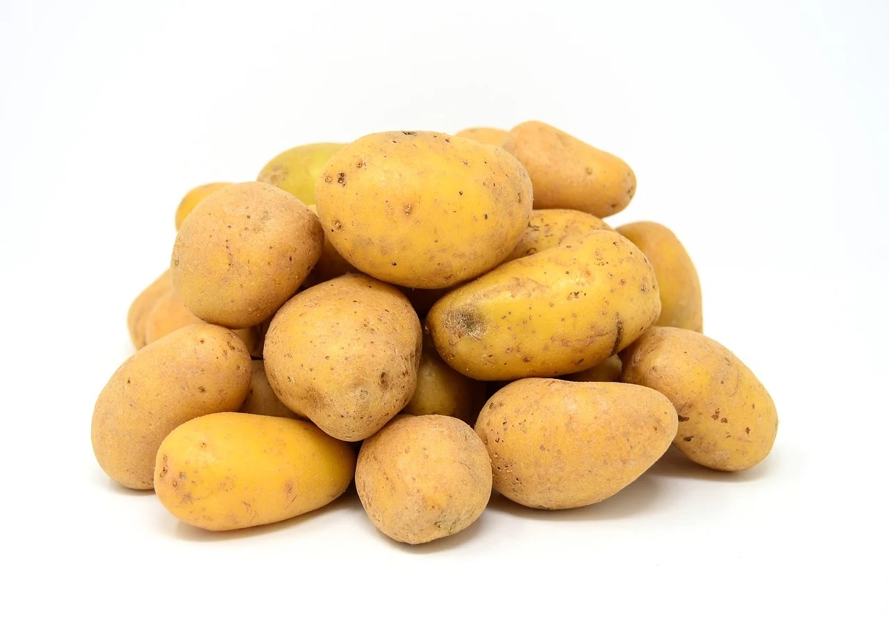 Astuces pour une culture de pommes de terre efficace