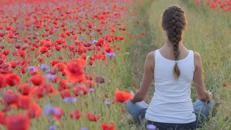 Le retour naturel séduit davantage chaque jour